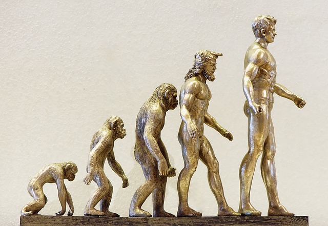 La théorie de l’évolution en business